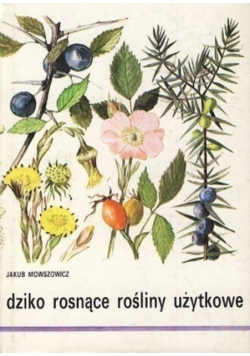 Dziko rosnące rośliny użytkowe