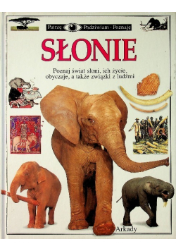 Słonie Patrzę podziwiam