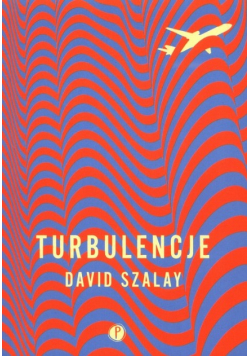 Turbulencje