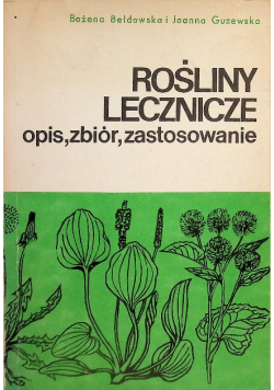 Rośliny lecznicze opis zbiór zastosowanie