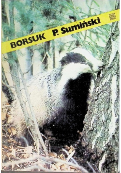 Borsuk