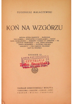 Koń na wzgórzu, 1922 r.