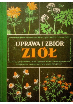 Uprawa i zbiór ziół