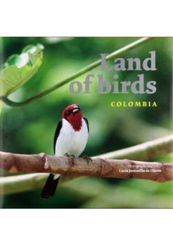 Land of Birds: Colombia