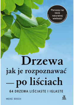 Drzewa jak je rozpoznawać po liściach