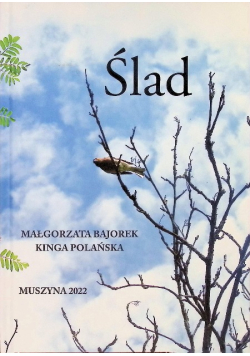 Ślad
