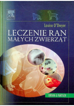 Leczenie ran małych zwierząt