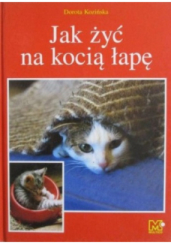 Jak żyć na kocią łapę