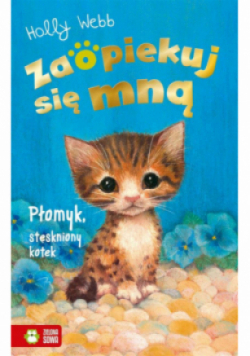 Zaopiekuj się mną Płomyk stęskniony kotek