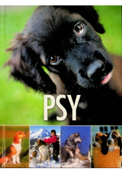Psy