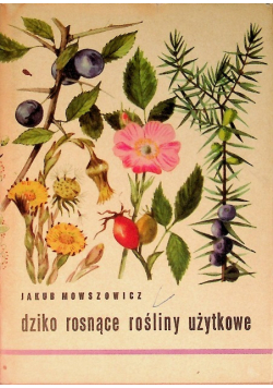 Dziko rosnące rośliny użytkowe