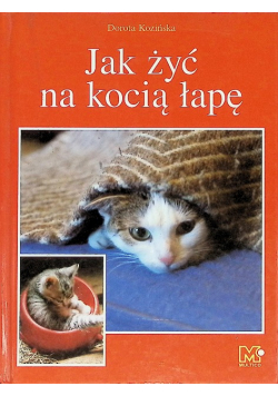 Jak żyć na kocią łapę