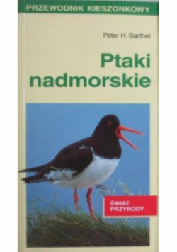 Ptaki nadmorskie