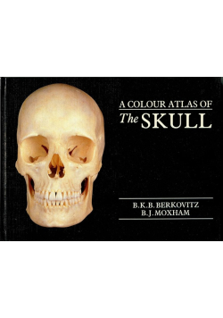 Color Atlas Of The Skull