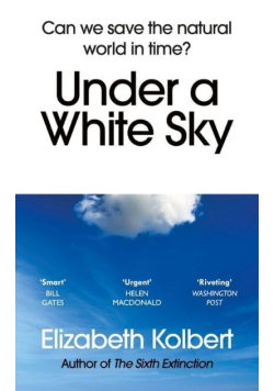 Under a White Sky