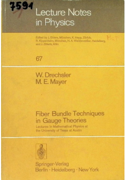 Fiber Bundle Techniques in Gauge Theories