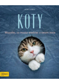 Koty