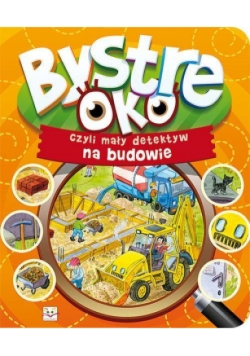 Bystre Oko czyli mały detektyw na budowie