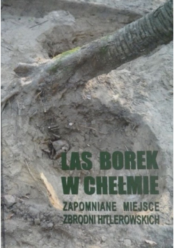 Las borek w Chełmie. Zapomniane miejsce zbrodni hitlerowskich