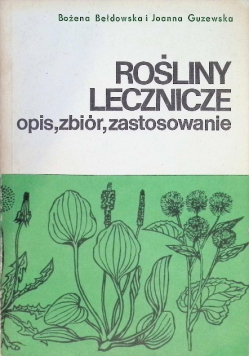 Rośliny lecznicze opis zbiór zastosowanie
