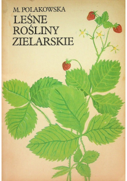 Leśne rośliny zielarskie