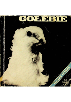 Gołębie nasze hobby