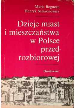 Dzieje miast i mieszczaństwa w Polsce przedrozbiorowej