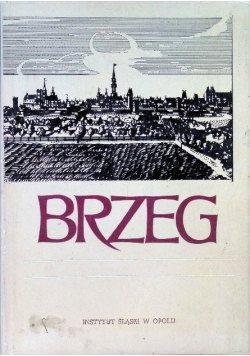 Brzeg dzieje gospodarka kultura