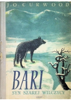 Bari Syn szarej wilczycy
