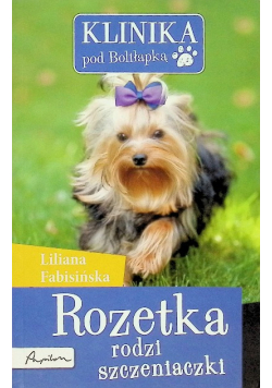Klinika pod Boliłapką Rozetka rodzi szczeniaczki