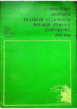 Historia teatrów ludowych Polskie zespoły zawodowe