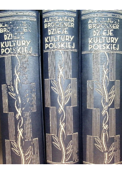 Dzieje Kultury Polskiej Tom 1 do 3