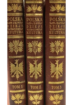 Polska jej dzieje i kultura od czasów najdawniejszych aż do chwili obecnej 1927 - 1930 Tom 1 do 3