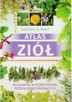 Atlas ziół Kulinarne wykorzystanie roślin dziko rosnących