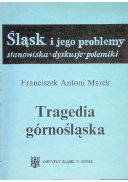 Tragedia Górnośląska, stanowiska, dyskusje, polemiki