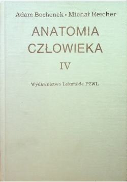 Anatomia człowieka