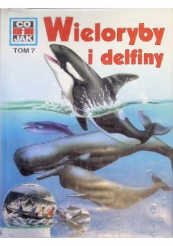 Wieloryby i delfiny