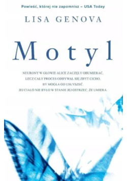 Motyl