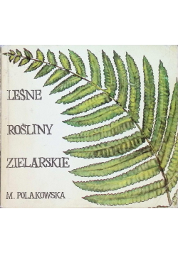 Leśne rośliny zielarskie