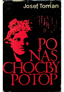 Po nas choćby potop