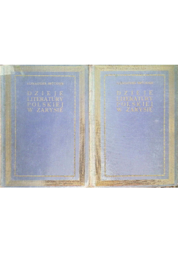 Dzieje literatury polskiej w zarysie Tom I i II 1924 r.