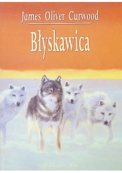 Błyskawica