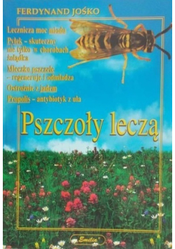 Pszczoły leczą