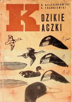 Dzikie kaczki