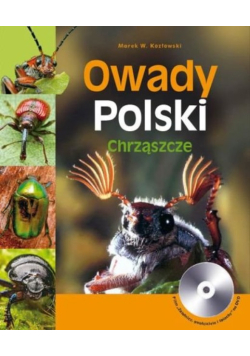 Owady Polski Chrząszcze