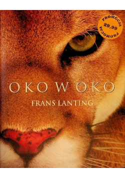Oko w oko