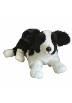 Pies Border collie 45cm