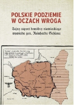 Polskie podziemie w oczach wroga