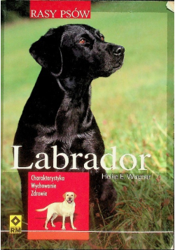 Labrador Rasy psów