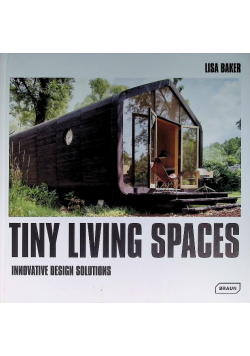 Tiny Living Spaces  Innovative Design Solutions